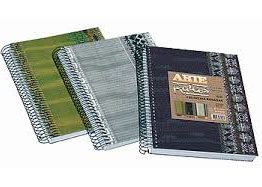 CUADERNOS ARTE RAICES 29.7 T.D. 120 HS. RAYADO