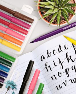 JUEGO DE MARCADORES PELIKAN MARKANA PINCEL X 12